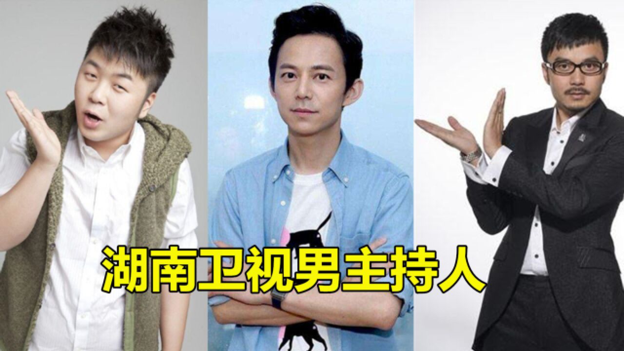湖南卫视男主持人对比何炅汪涵杜海涛陪伴无数人的童年