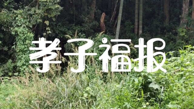 民间故事:《孝子福报》石家门村有户姓石的人家