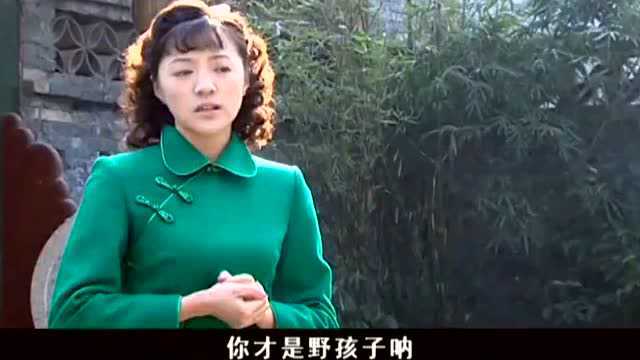 大宅门续:天意对白美和和气气!对白慧如同蛇蝎!白慧讽刺被怼