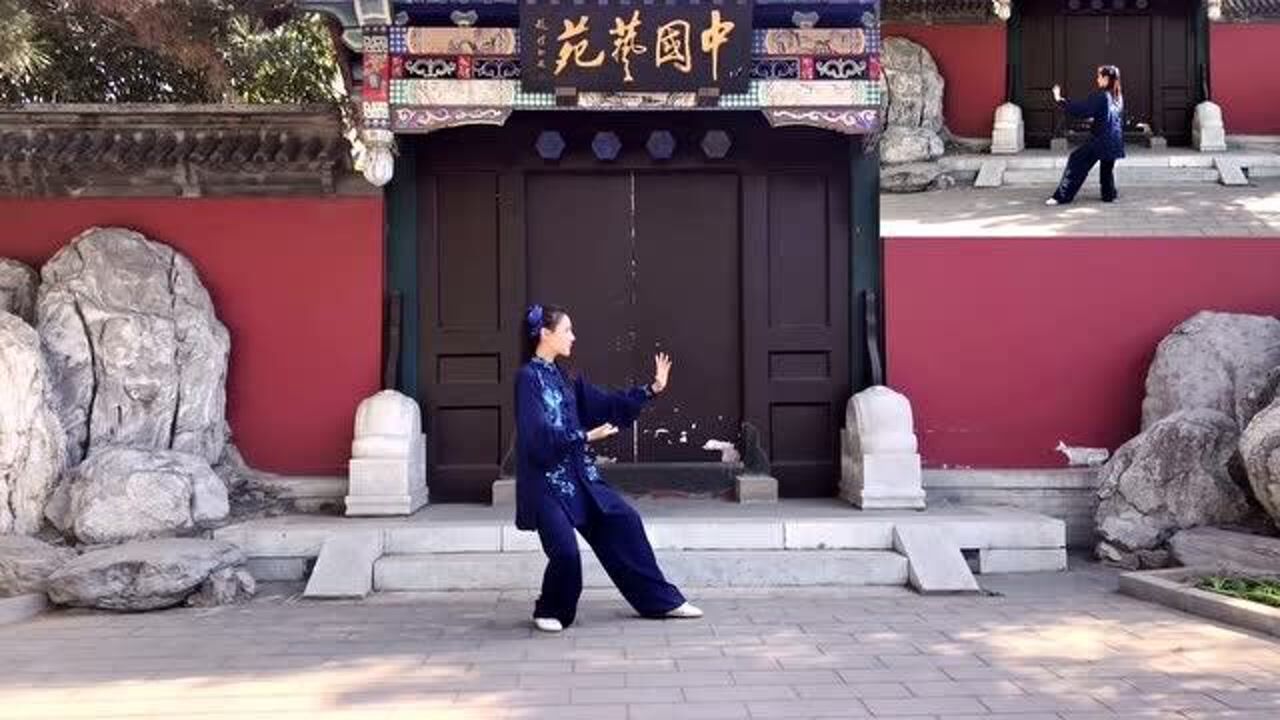 24式简化太极拳第六篇左右倒卷肱