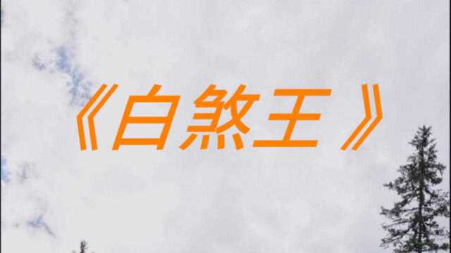 民间故事:《白煞王》传说中有黑煞王和白煞王