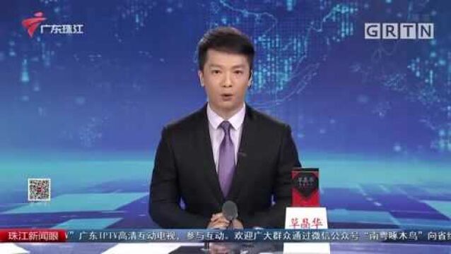 深圳高交会:技术攻关完成世界首幅“猕猴全脑图谱”