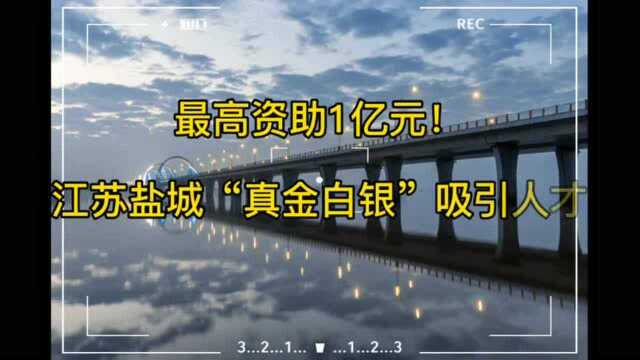 最高资助1亿元!江苏盐城“真金白银”吸引人才