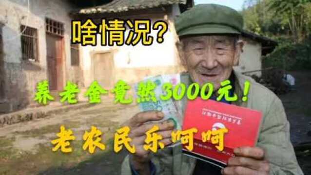 老农民夫妇,俩人共交8万,养老金6000元!现在还有哪三种人能补缴