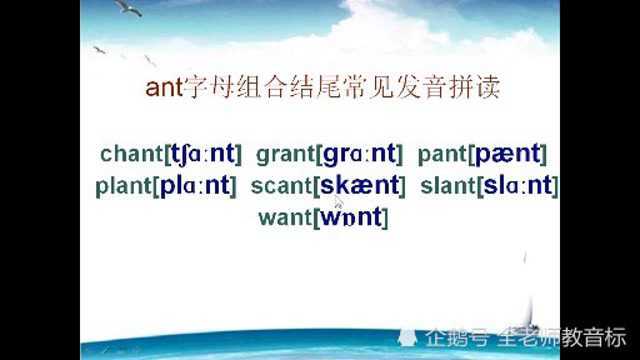 ant字母组合结尾常见发音,练音标找规律记单词,建议收藏