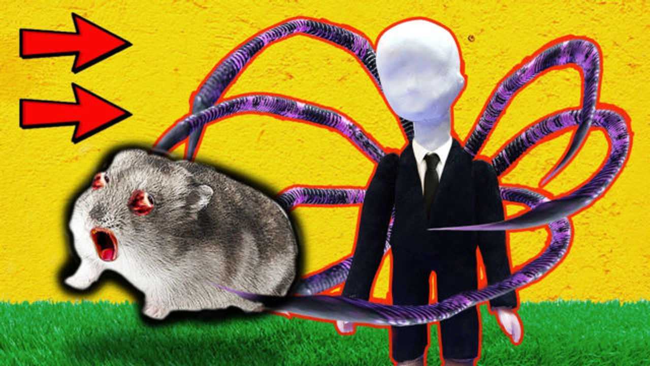 仓鼠vs变异章鱼博士,双方大战三百回合,它能逃出生天吗?
