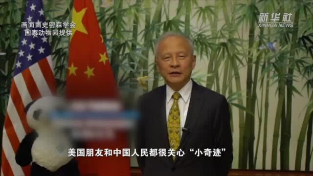 美国人喜迎“Shiau Chi Ji”