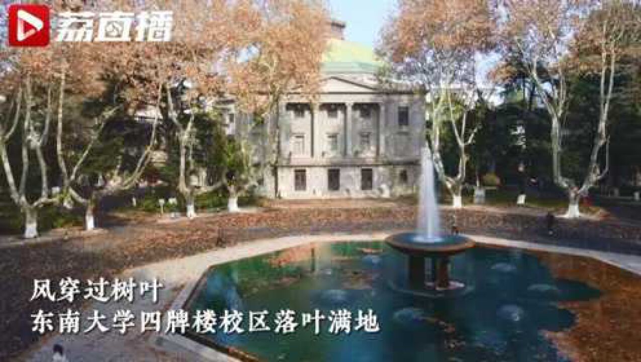 东南大学四牌楼校区落叶满地腾讯视频