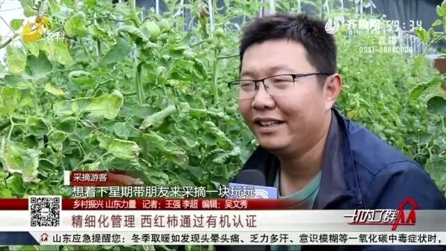 种下“摇钱树” 品牌引领致富路