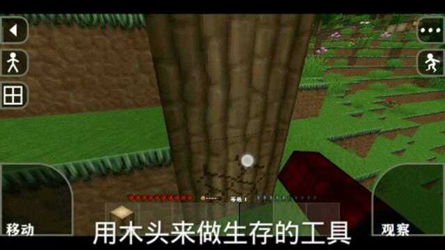 生存战争之生存大师第一期