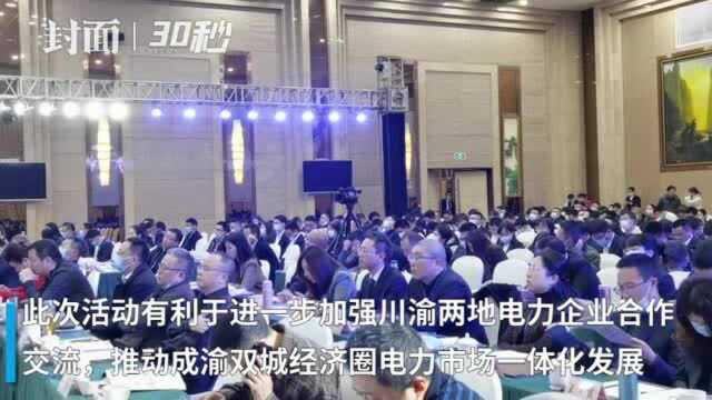 唱好“双城记” 川渝电力如何一体化发展?各地专家齐聚眉山支招