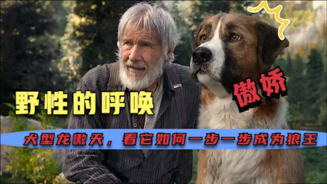 《野性的呼唤》1:富豪家犬野性觉醒,驰骋大自然,撩母狼做狼王