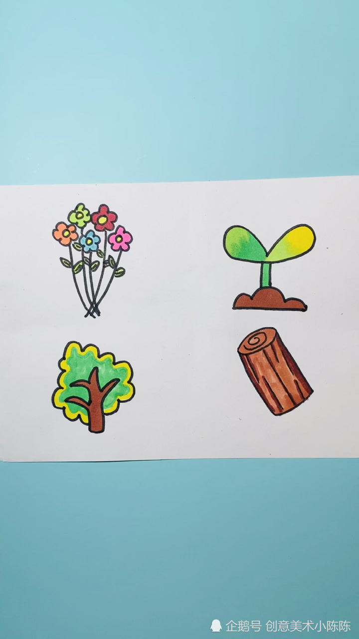 画花朵和画小草和小树图片