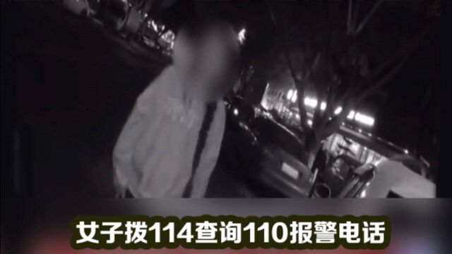 神操作!女子拨114查询报警电话,警察:110电话还需要打114查询?