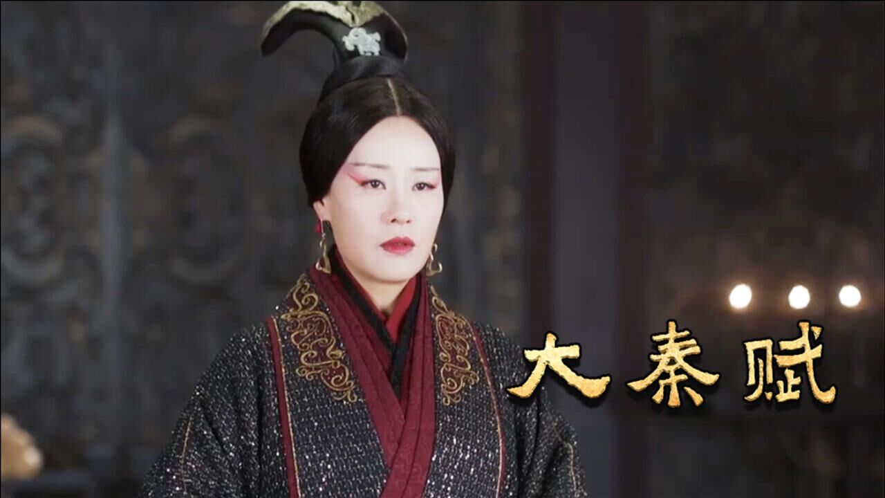 大秦赋华阳太后的举动差点让秦国无法统一六国真没有见识