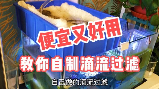 网上花11.7元,自己动手做个空间大的滴流盒,好用又实惠