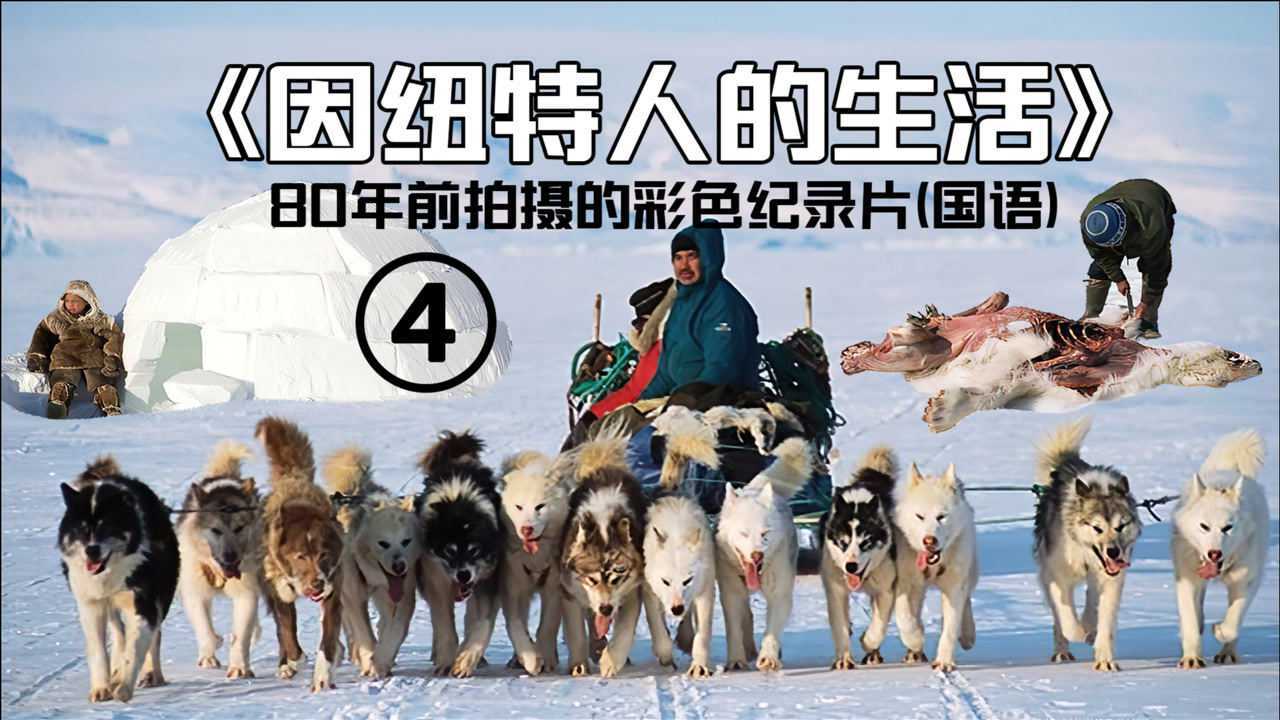 80年前纪录片:北极因纽特人用海豹油生火,结婚不用彩礼