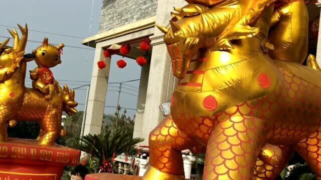 婚礼现场8门礼炮很震撼,浙江桐乡风俗,带你感受下江南乡村婚礼