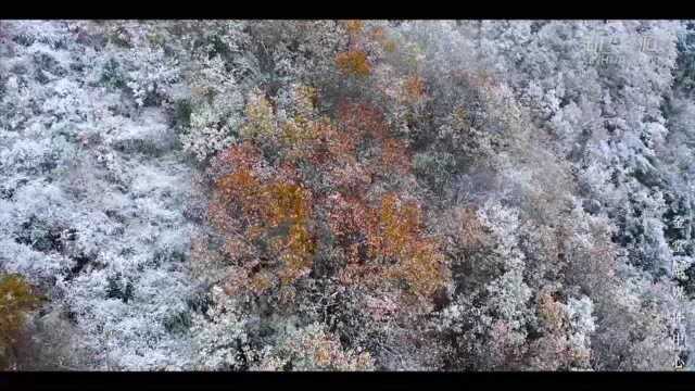 太美了!金堂老牛坡迎来今冬的第一场雪