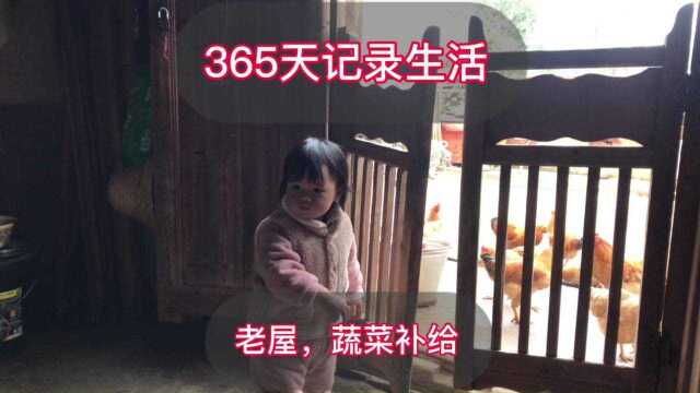 365天记录生活,今天