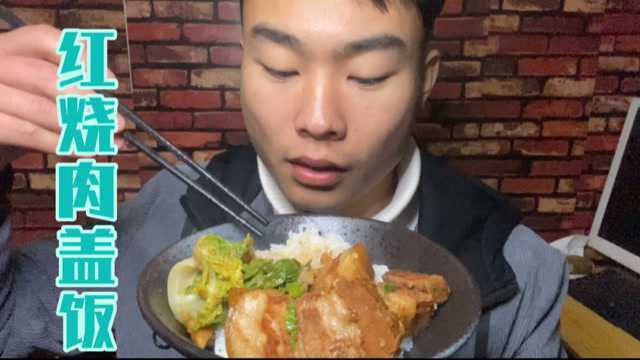 红烧肉盖饭 几片青菜 浇上汤汁 荤素搭配 简简单单家常饭 下饭又好吃