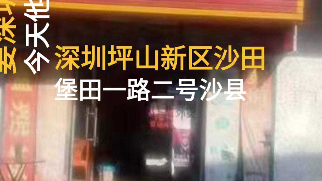 广东省深圳坪山新区沙田宝田一路2号沙县小吃,一天最少做2000以上腾讯视频}