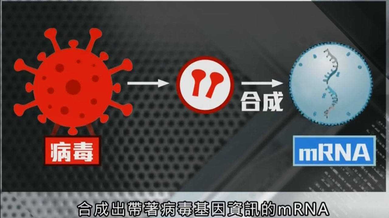 什么是mRNA疫苗?_高清1080P在线观看平台_腾讯视频