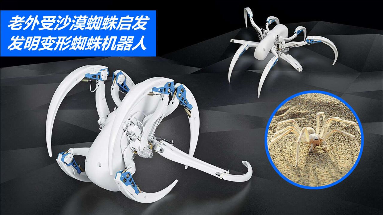 老外受沙漠蜘蛛启发,发明变形蜘蛛机器人,腿部设计太精妙!