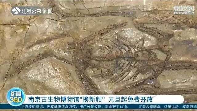 元旦起免费开放!南京古生物博物馆“换新颜” 镇馆之宝震撼登场