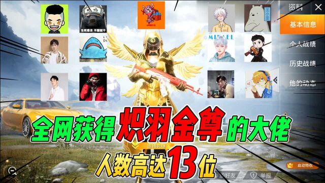 不摸鱼:全网获得炽羽金尊的第一批大佬!人数高达13位!你认识吗