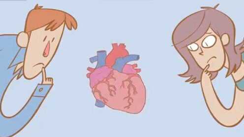 医学动画：了解心脏