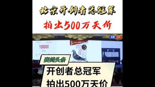 北京赛鸽俱乐部一只鸽子拍出500万天价,现场富豪轮流举牌!