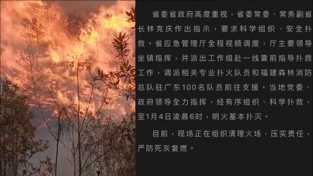 广东梅州突发山火已扑灭原因查明:系工人氧割操作引发