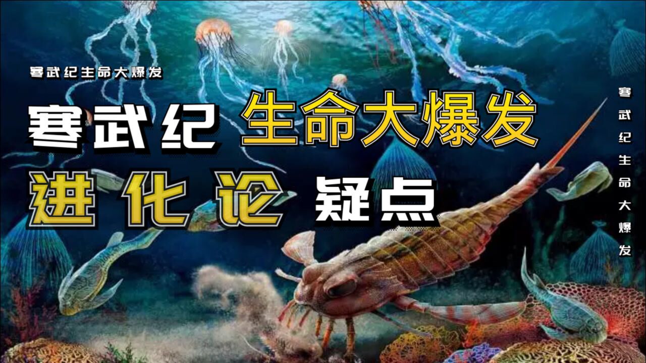 生命史上诡异的寒武纪生命大爆发