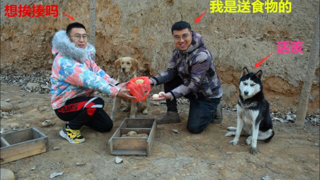 小亮被媳妇赶出家门了,小吉和二哈好心去看望,谁知竟差点挨揍