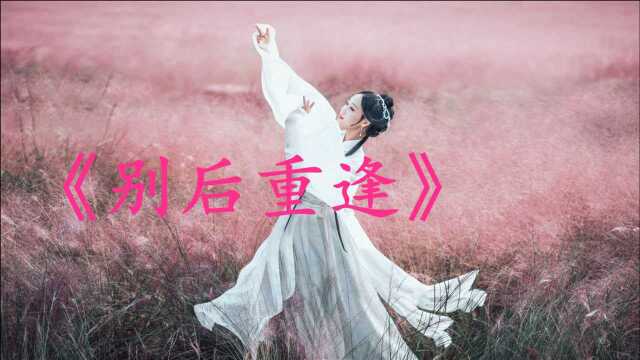 经典音乐,一首《别后重逢》经典老歌,瞬间打动你的心