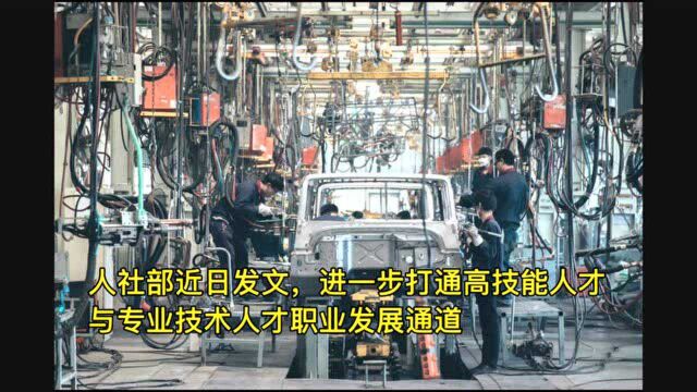 高技能人才职称评审学历要求淡化 职称评审更强调技能贡献