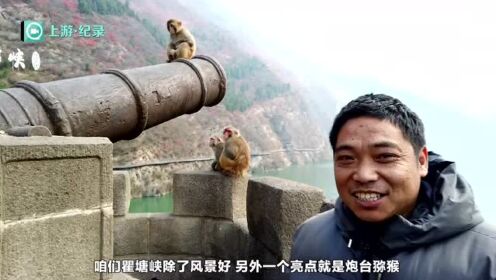新三峡 新视角⑦丨夔门猿声迎远客