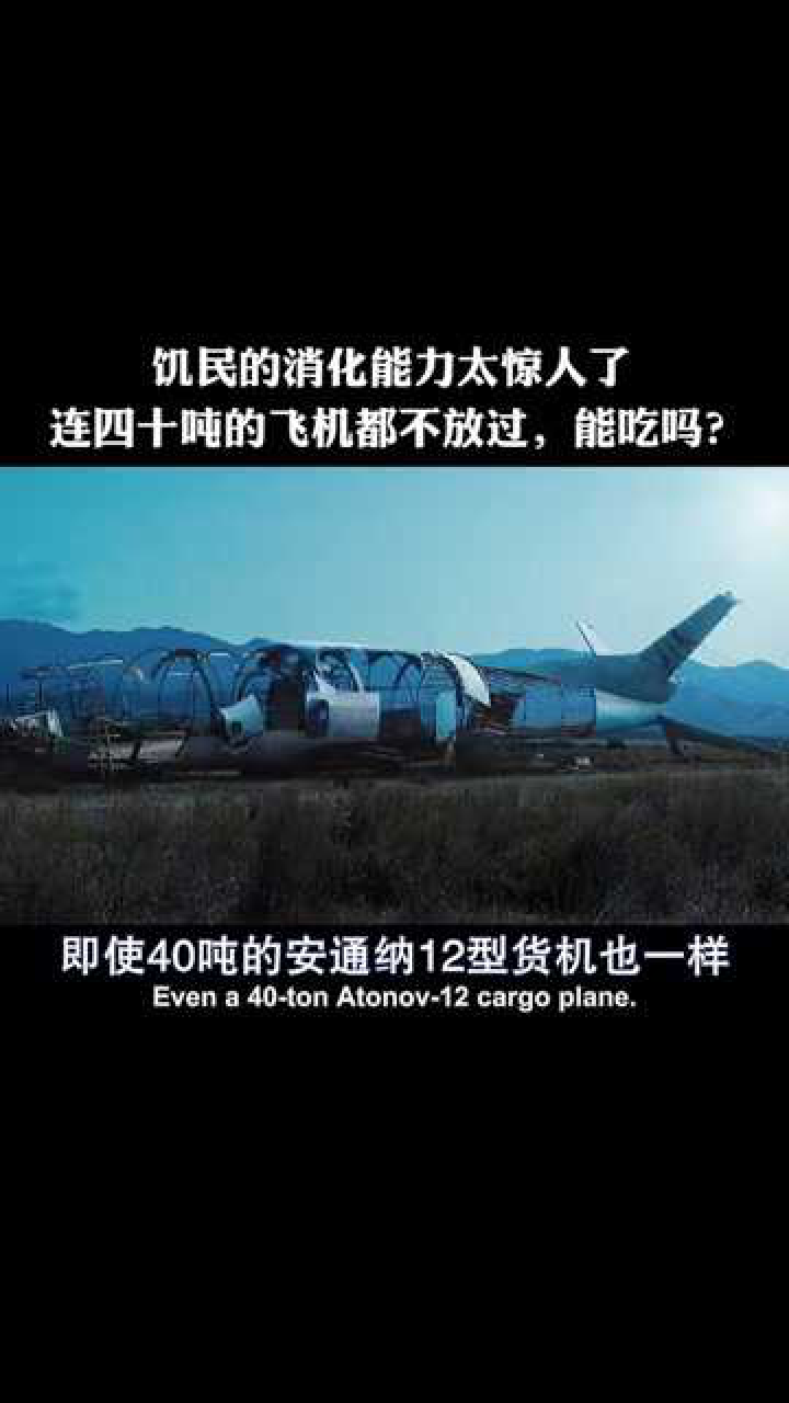 似乎看到了蚂蚁搬家真人版片名战争之王