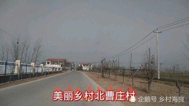 巨野县麒麟镇北曹庄,民风淳朴,山清水秀气候宜人,社会和谐稳定