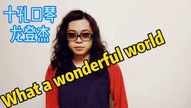 【龙登杰】十孔口琴What a wonderful world