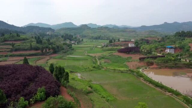 前朝乌纱帽后靠贵人山,十个金塘共一局,四川难得一见顶级好风水