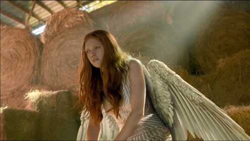 天使的一根羽毛被人类偷走，谁得到那根羽毛，就能死而复生