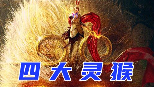 《混世四猴:神猴归来》四大灵猴都有哪些?涨知识了!