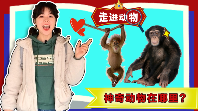 苏菲亚来了 5集