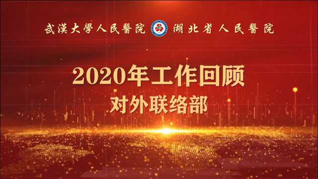 2020年对外联络部工作回顾