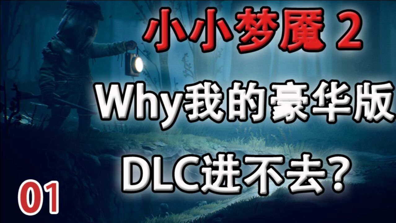 嗨氏小小梦魇201为什么我的豪华版dlc进不去