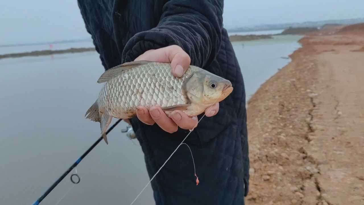 路亚活饵搜底挑逗法逗钓鲫鱼谁取的名字啊那么长不就是洛阳球球钓吗