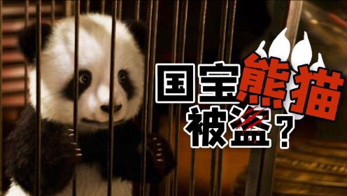 一只熊猫在国外能卖多少钱？说好建国后动物不能成精