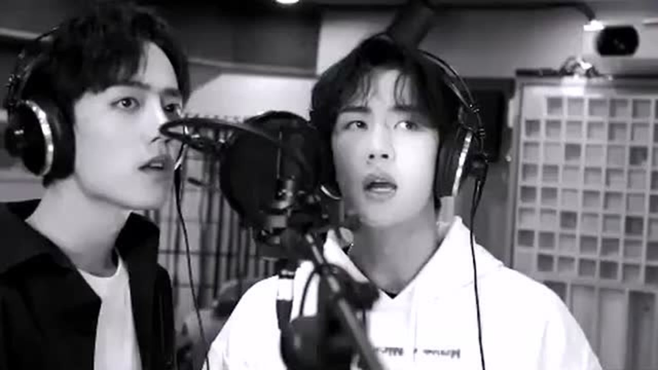 肖战&王一博《陈情令》片尾曲《无羁》官方高清MV_高清